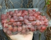 Mẫu hộp nhựa đựng trái cây 1kg sang - xịn - giá tốt nổi bật nhất 2024