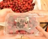 Những Mẫu Hộp Nhựa Trái Cây Đẹp Đựng Cherry 
