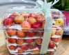 Giới thiệu 3 mẫu hộp nhựa đựng trái cây 1kg giá rẻ phổ biến nhất hiện nay