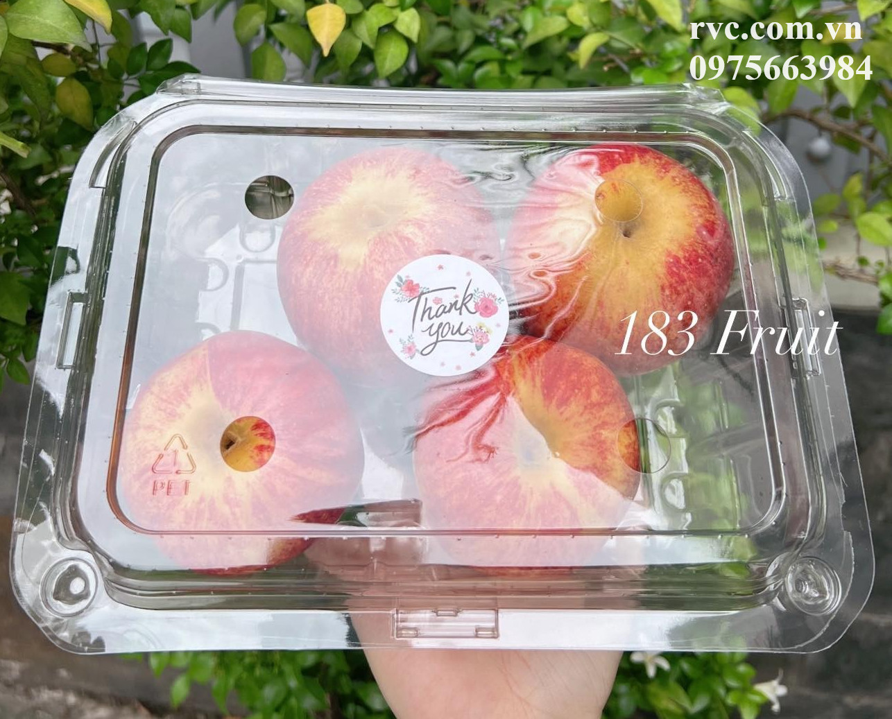 22.07-5008.jpg.webp