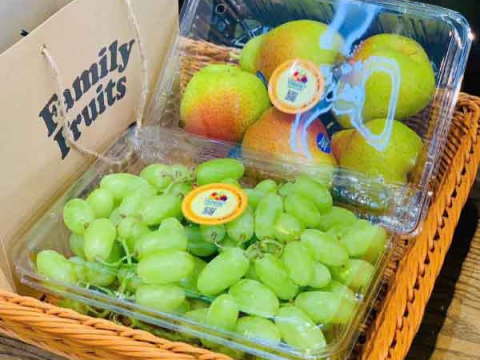 Bảo quản trái cây tươi lâu với hộp nhựa đựng trái cây 2kg P2000 chất lượng cao