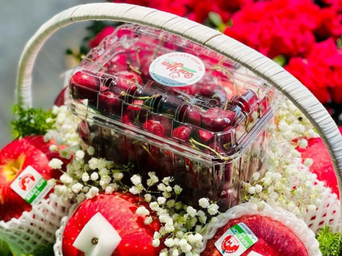 Phân phối hộp nhựa đựng trái cây 1kg giá rẻ nhất thị trường