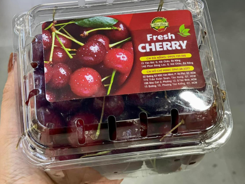 Hộp nhựa đựng cherry - Bí quyết kinh doanh trái cây hoàn hảo