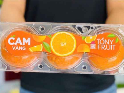 Hộp nhựa đựng 3 trái táo, cam, lê - Sự an tâm của người dùng