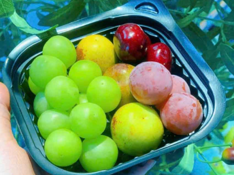 Hộp nhựa đen JB12 - Bao bì đóng gói không thể thiếu cho doanh nghiệp