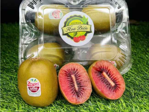 Đóng gói đúng cách bằng hộp nhựa đựng 4 trái kiwi nhà RVC