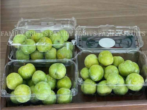 Bạn chưa tìm được bao bì đóng gói nông sản? Đừng lo, đã có hộp nhựa trái cây 500g RVC