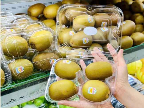 Chuyên nghiệp, sang trọng, tiện lợi với hộp nhựa đựng 4 trái kiwi