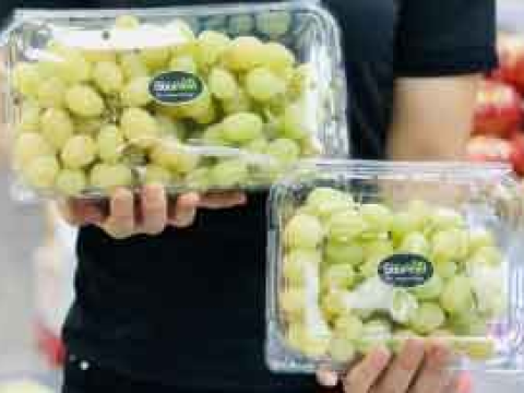 Những mẫu hộp nhựa đựng nho đẹp, chất lượng bạn nên tham khảo. 