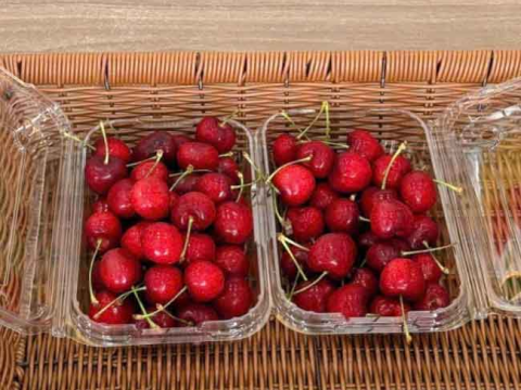 Hộp nhựa đựng trái cây P350A chuyên nghiệp cho cửa hàng và siêu thị