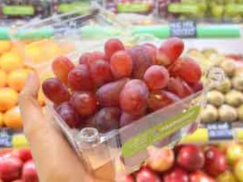 RVC - Địa chỉ không thể bỏ qua khi tìm mua hộp nhựa trái cây.