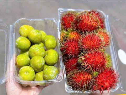 Những điều cần lưu ý khi lựa chọn hộp nhựa đựng trái cây