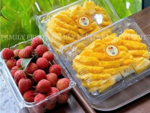 Có nên sử dụng hộp nhựa đựng trái cây?