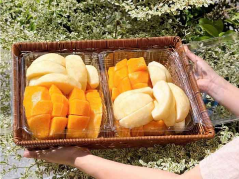 Tại sao nên lựa chọn hộp nhựa trái cây P2000 nhà RVC