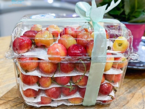 Giới thiệu 3 mẫu hộp nhựa đựng trái cây 1kg giá rẻ phổ biến nhất hiện nay