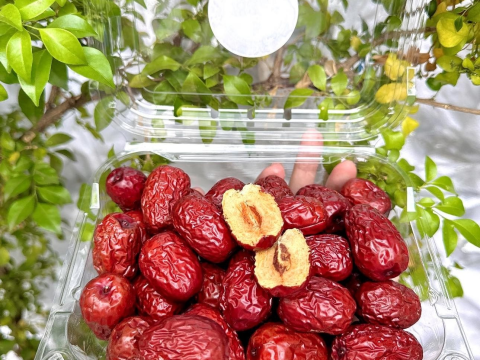 Top 3 mẫu hộp nhựa đựng trái cây 500g bán chạy nhất hiện nay