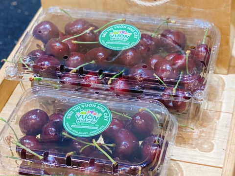 4 lý do bạn nên lựa chọn hộp nhựa đựng cherry nhà RVC