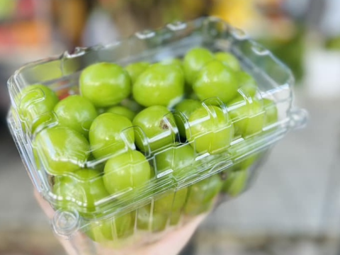 Kinh nghiệm lựa chọn hộp nhựa trái cây an toàn và chất lượng.