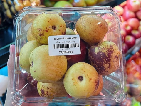 Nên lựa chọn mẫu hộp nhựa trái cây 500g nào là đẹp nhất?