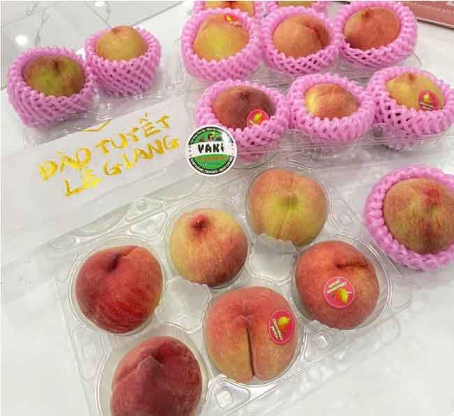 Hộp nhựa trái cây