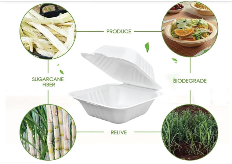 Hộp bã mía đựng thức ăn