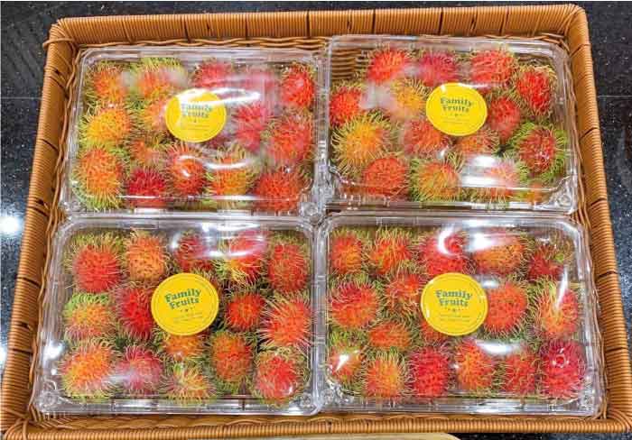 Hộp nhựa trái cây P2000 đẹp
