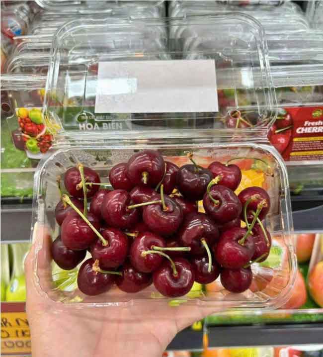 Hộp nhựa trái cây P350A đẹp