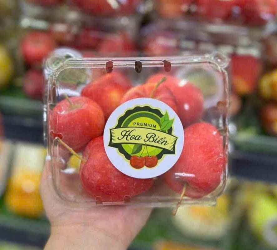 Hộp nhựa trái cây P500D