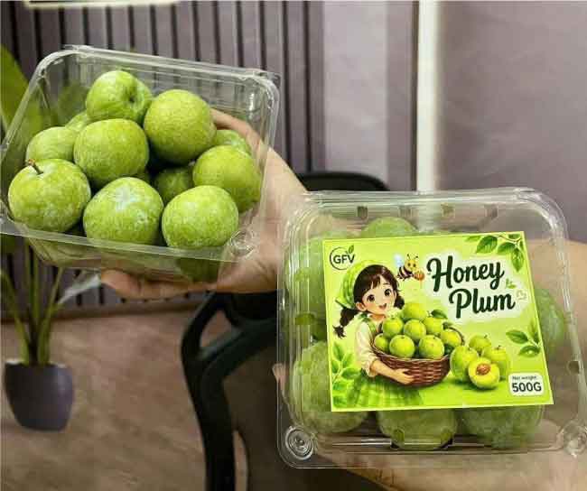 Hộp nhựa trái cây P500D