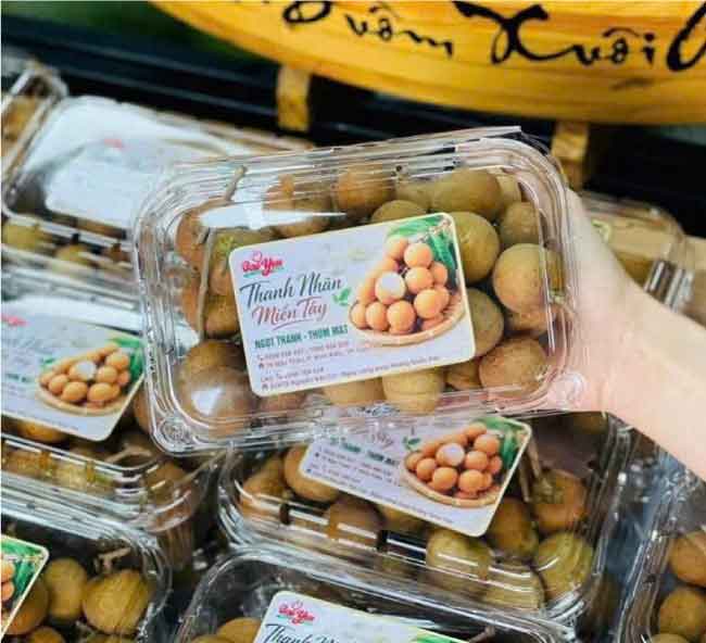 Hộp nhựa trái cây P500B đẹp
