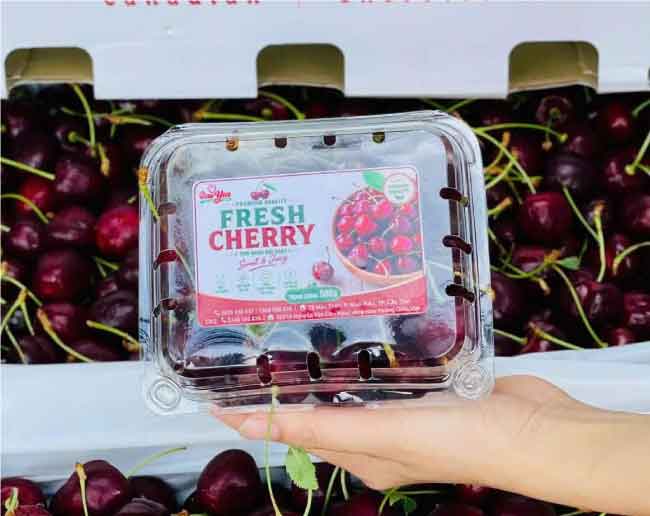 hộp nhựa trái cây P500D