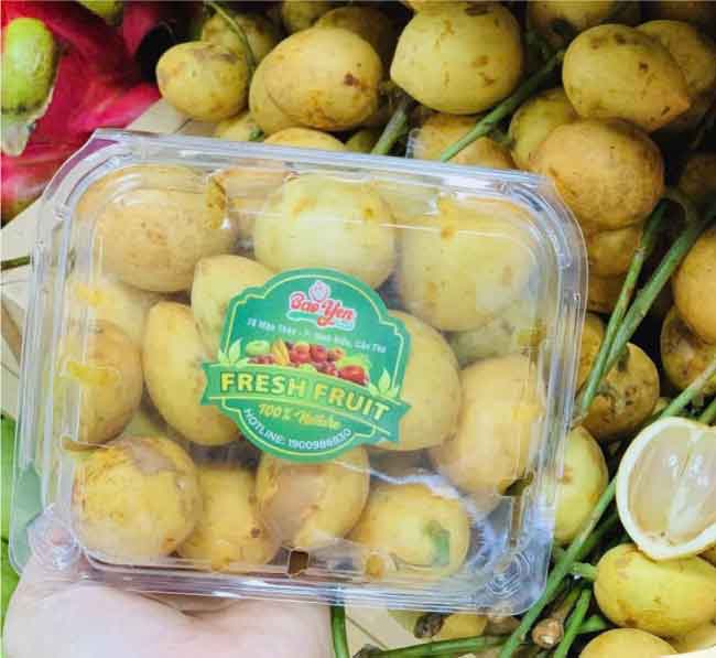 Hộp nhựa trái cây P500D chính hãng