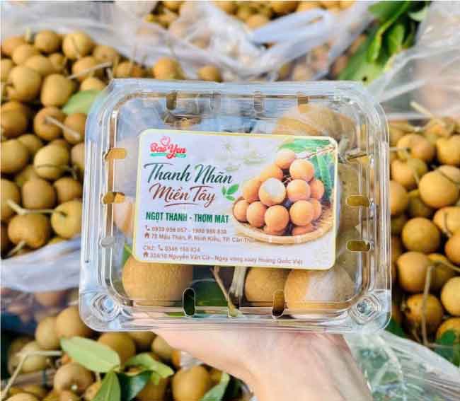hộp nhựa trái cây P500D