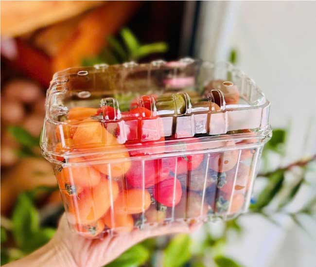 Hộp nhựa đựng trái cây P1000B