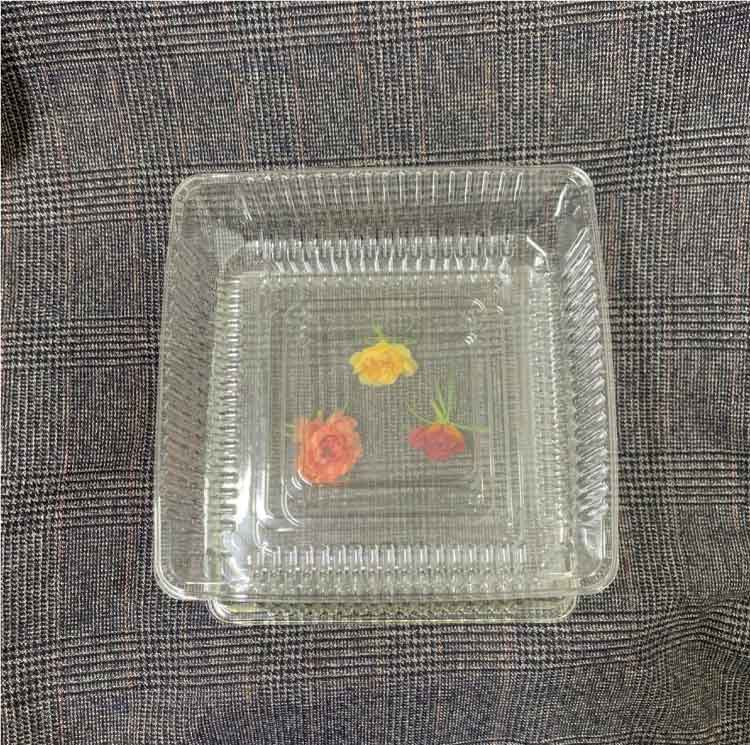 Khay nhựa đựng thực phẩm