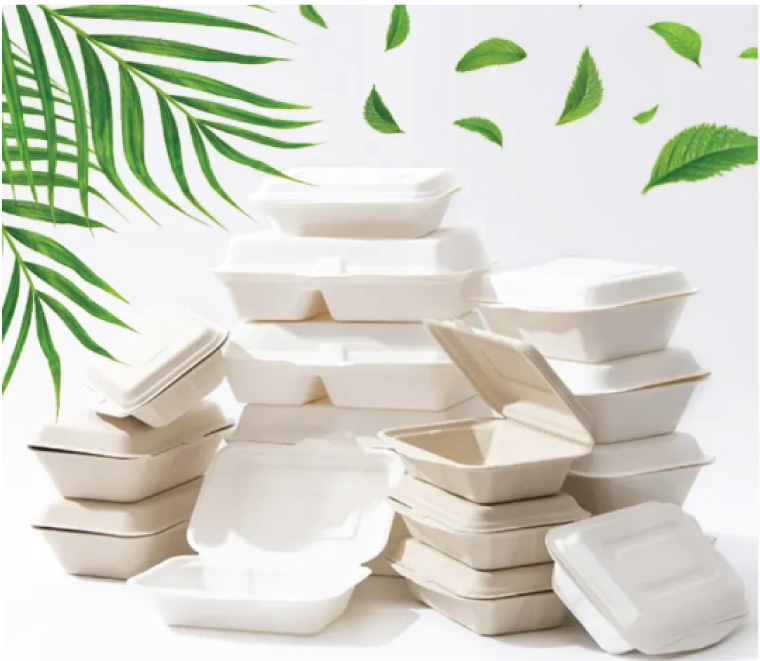 danh mục hộp bã mía đựng thức ăn