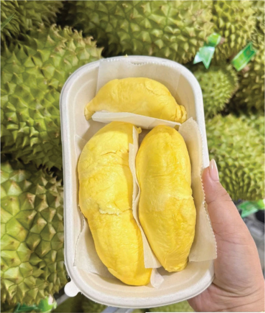 hộp bã mía 750ml oval