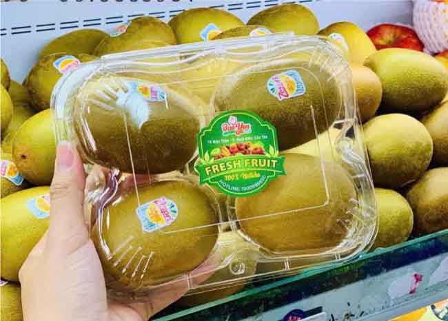 Hộp nhựa đựng 4 trái kiwi giá rẻ
