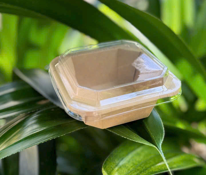 hộp nâu vuông nắp pet 