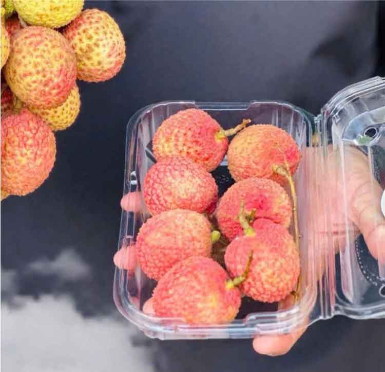 Hộp nhựa trái cây