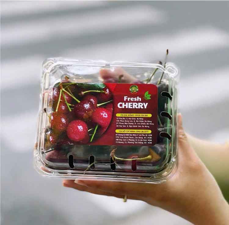 Hộp nhựa đựng trái cây