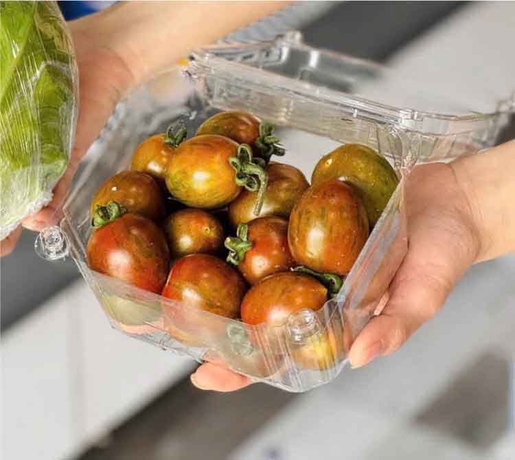 Hộp nhựa trái cây 500g