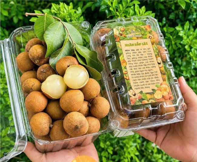 Hộp nhựa P1000B