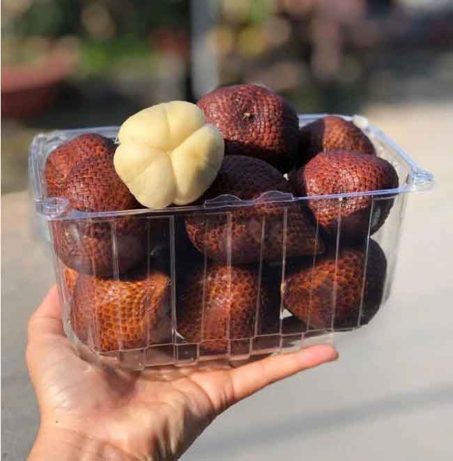 Hộp nhựa đựng trái cây P1000B