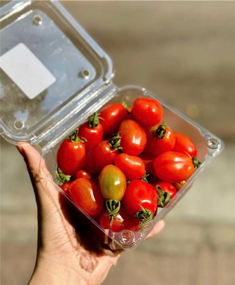 Hộp nhựa trái cây P500D