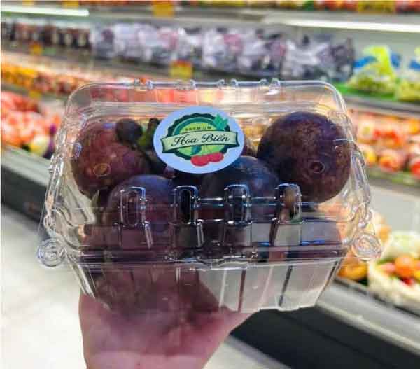 Hộp nhựa trái cây P1000B