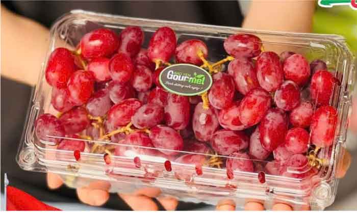 Hộp nhựa trái cây 1kg