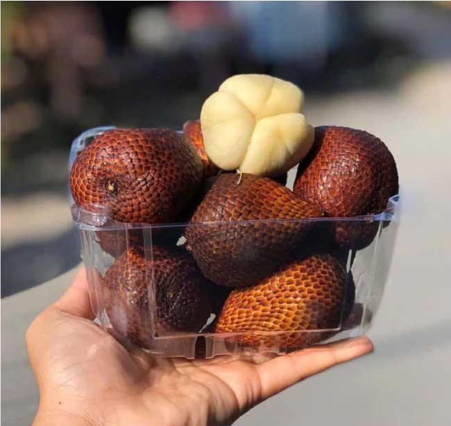 Hộp nhựa đựng trái cây P500D