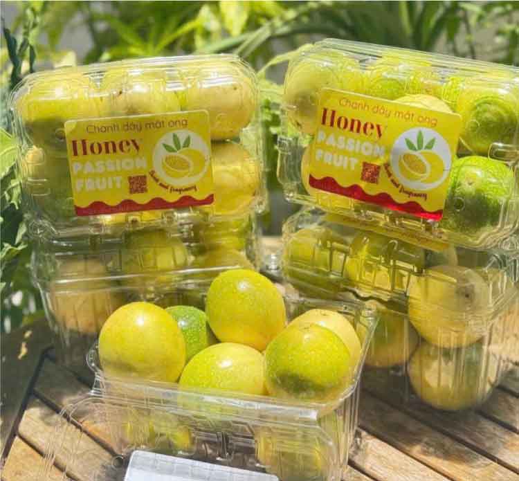 Hộp nhựa trái cây TP.HCM