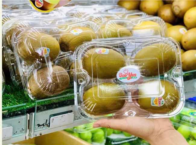 Hộp nhựa đựng trái cây